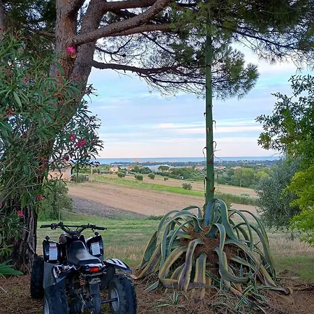 Casale Minu - 公寓 Porto SantʼElpidio